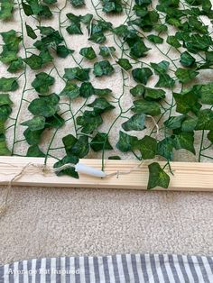 some green plants are growing on the floor next to a piece of plywood board