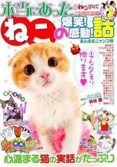 an orange and white cat is on the cover of a magazine