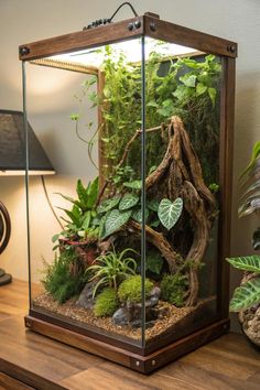 an indoor terrarium with plants and rocks in the center on a wooden table next to a lamp