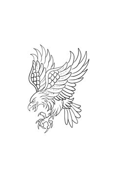 an eagle flying in the sky with its wings spread