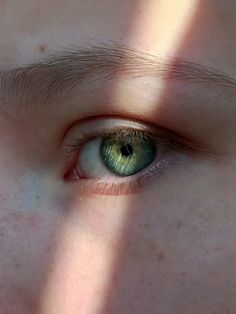 tg: @brrrawrbrr 
vk: bett.woods Wood Elf Eyes, Red Eyes In The Woods, Green Eye Aesthetic, Eyes In Woods, Glowing Eyes In Forest, Green Eyes Aesthetic, Green Eye, Forest Green Eyes Aesthetic, Aesthetic Green Eyes