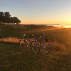 two bikes parked next to each other in the grass near water and trees at sunset