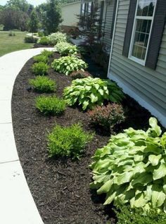 an image of a house with flowers in the front yard and landscaping on the side