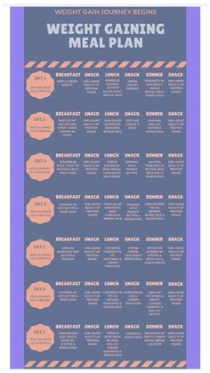 Food Plans For Weight Gain, Food Plan To Gain Weight For Women, Meal Plan To Gain Weight Women, Weight Gain Meal Prep For Women, Weight Gain Weekly Meal Plan, Gain Weight Meal Plan Men, Gaining Weight Meal Plan Men, Weight Gain Meals For Women Eating Plans, Meal Plan To Gain Weight And Muscle