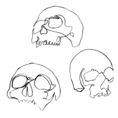 three different types of skulls are shown in black and white
