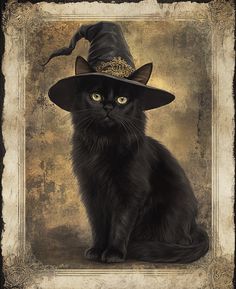 a black cat wearing a witches hat sitting on top of a wooden table next to a framed photo