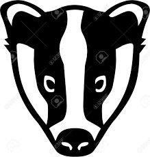 a black and white silhouette of a badger's head on a white background stock photo