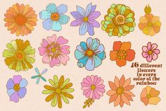 an assortment of flowers with the words different flowers in every color of the wildflower