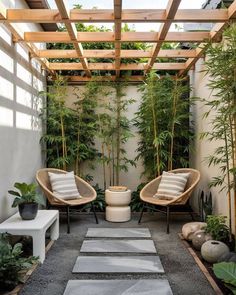 an outdoor patio with two chairs and plants