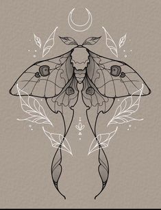 a black and white drawing of a moth