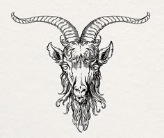 a goat's head with long horns is drawn in black ink on white paper