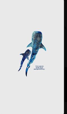 two blue whale swimming next to each other on a white background with words written below