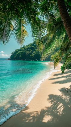 a tropical beach with palm trees and clear blue water