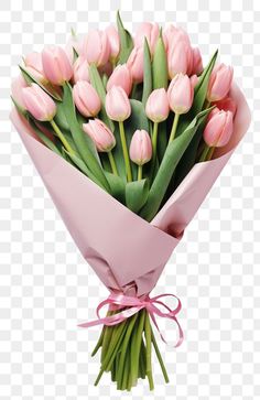 a bouquet of pink tulips tied with a pink ribbon on a transparent background