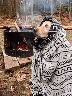 a dog wrapped in a blanket sitting next to an open fire pit on the ground