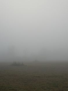 a foggy field with trees in the distance and no one on it or any other