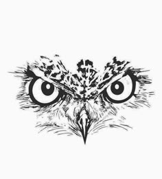 an owl's face with big eyes and feathers on its head, drawn in black ink