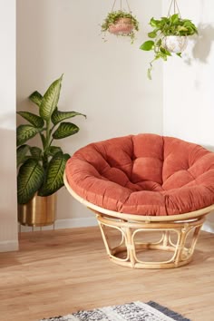 a chair with a red cushion on it in front of a potted plant and hanging plants