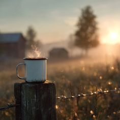 a cup sitting on top of a wooden post next to a barbed - wire fence