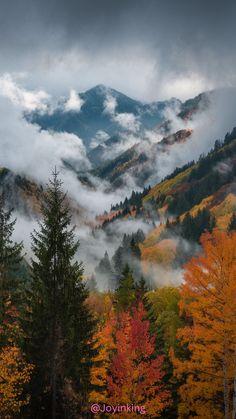 Lose yourself in the enchanting beauty of this misty mountain landscape. As the autumn leaves paint the forest in vibrant hues of orange, red, and yellow, a blanket of fog descends, creating a dreamlike atmosphere. The towering trees, shrouded in mist, seem to whisper secrets of the ancient wilderness #autumn #fall #nature #mountains #forest #fog #misty #landscape #photography #outdoors #travel #wanderlust #peaceful #serene #beautiful #scenic #autumncolors #fallvibes #naturephotography #hiking #camping #adventure #explore #discover #breathtaking #amazing #incredible #dreamy #magical Fall In The Mountains, Autumn Forest With Mountain Background, Mountain Forest With Autumn Trees, Autumn Landscape With Mountains And Clouds, Autumn Mountains, Autumn Forest View From Mountain, Autumn Forest In Foggy Mountains, Foggy Mountains In Fall, Autumn Misty Mountains
