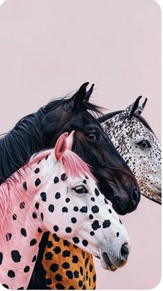 three horses standing next to each other in front of a pink background with black and white spots