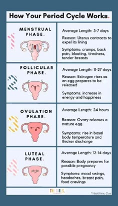 The Ultimate Guide to Lip Care for Women: Tips for Healthy and Beautiful Lips 2024 - Fashion Tips Tricks Period Cycle, Healthy Period, Period Hacks, Biology Facts, Cramps Relief, Feminine Health, Menstrual Health, Medical Knowledge, Hormone Health