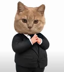 a cat wearing a suit and tie standing with his hands folded in front of his chest
