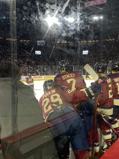 the hockey players are lined up on the ice for a moment's play in front of an audience