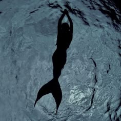 the silhouette of a mermaid swimming in water