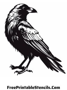 a black and white drawing of a crow sitting on top of it's legs
