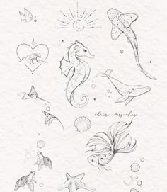 an ink drawing of sea animals and fish