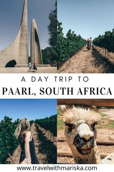 Day trip to Paarl, South Africa