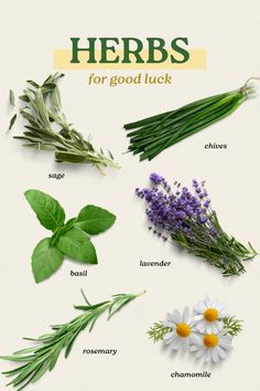 herbs for good luck are shown here