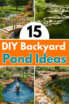 backyard pond ideas with text overlay that reads 15 diy backyard pond ideas