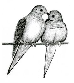two birds sitting on top of a wire next to each other with their beaks touching