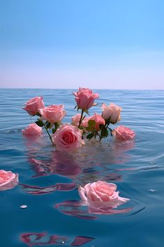 some pink roses floating in the water