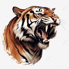 an angry tiger with its mouth open and it's teeth wide open, transparent background