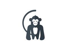 a monkey sitting in the middle of a circle