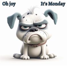 an angry looking dog with the words oh joy it's monday