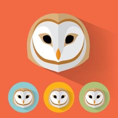 an owl's head with three different colored circles around it and the face of an owl