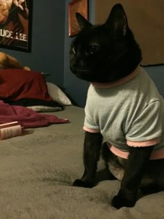 a black cat sitting on top of a bed