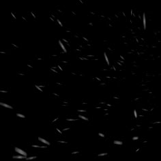 snow flakes in the dark on a black background