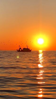 the sun is setting over the ocean with a fishing boat in the foreground and birds flying overhead