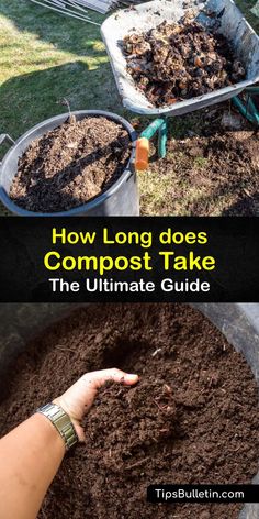 how long does compost take the ultimate guide