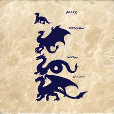 three different types of dragon silhouettes on a marble background with words written below them