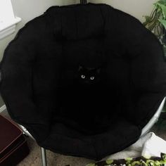a black cat sitting in the middle of a chair