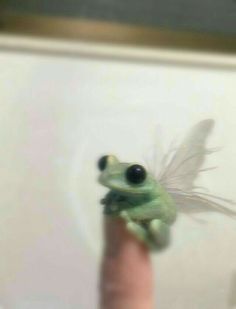 a small green frog sitting on top of a person's finger in front of a mirror
