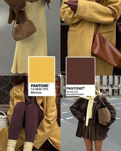 Pantone Color Clothes, Pantone Clothes, Two Color Combinations For Clothes, Pantone Color Combos, Color Combinations Brown, Color Palette For Clothes, Color Palette Clothes, Mustard Clothes, Color Palette Fashion