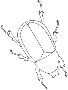 a beetle that is drawn in black and white