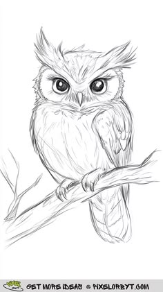 an owl sitting on top of a tree branch